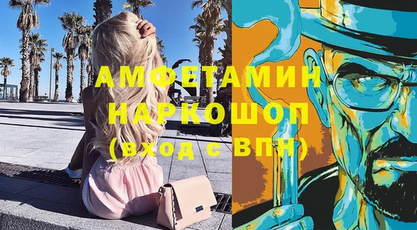 шишки Заволжск